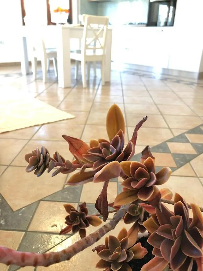 Casa Vacanze Sanseveria トルトリ アパート