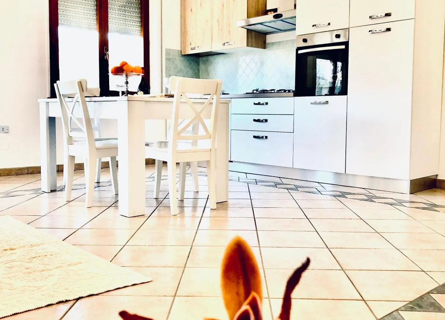 Casa Vacanze Sanseveria トルトリ アパート