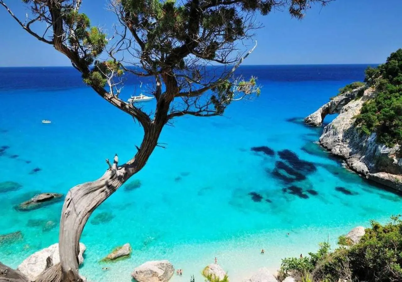 Casa Vacanze Sanseveria トルトリ